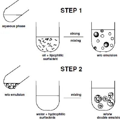 Gambar 1. Skema proses pembentukan emulsi ganda A/M/A dengan dua tahap (Garti dan  Benichou, 2004) 
