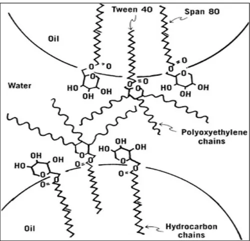 Gambar 2.4  Skema tetesan minyak dalam emulsi minyak-air, menunjukkan  orientasi molekul Tween dan Span pada antarmukanya (Martin et  al, 1993)