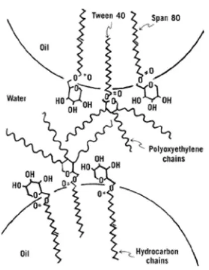 Gambar 2.3  Skema tetesan minyak dalam emulsi minyak-air, menunjukkan   orientasi molekul Tween dan Span pada antarmukanya