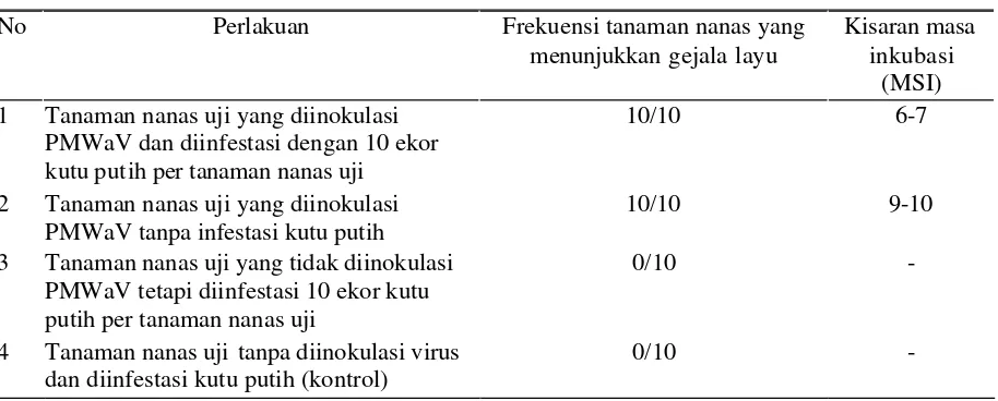 Tabel 1    Frekuensi tanaman nanas yang menunjukkan gejala layu dan kisaran masa inkubasinya setelah mendapat PMWaV pada keempat perlakuan tanaman uji inokulasi PMWaV dan/atau infestasi kutu putih 