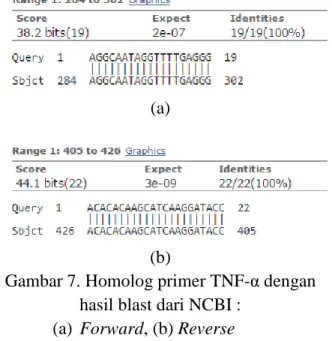 Tabel 1. Nilai kuantitas DNA template 