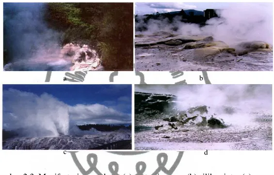 Gambar 2.3. Manifestasi permukaan (a) mata air panas (b) silika sinter (c) geyser  dan (d) kubangan lumpur panas (mud pools) (Saptaji, 2009)