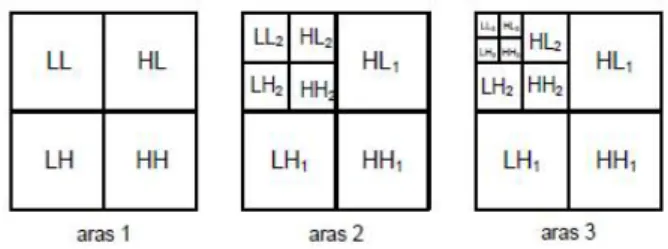 Gambar 1. Anatomi mata dan contoh iris mata.