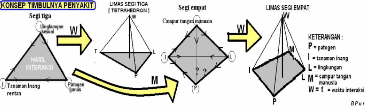 Gambar 2.1: Skema interaksi timbulnya penyakit (segi tiga, segi empat, tetrahedron dan  piramida) 