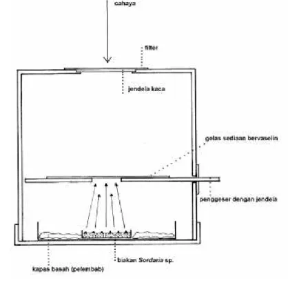 Gambar 1. Alat percobaan (skematik)