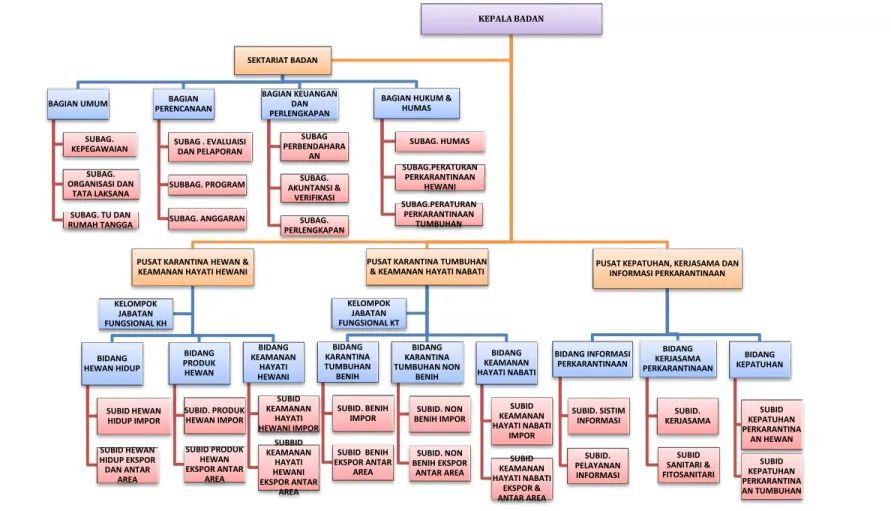 Gambar 1 : Struktur Organisasi Badan Karantina Pertanian 