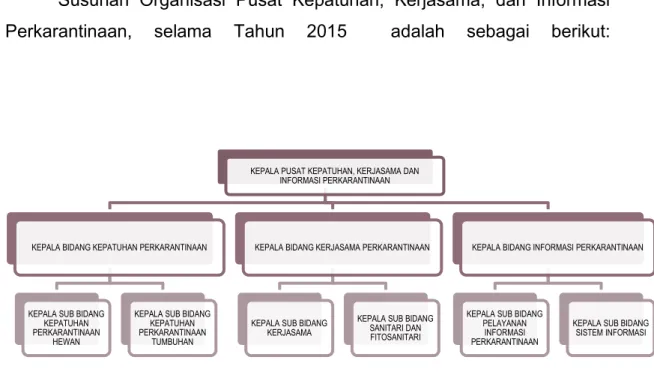 Gambar    1    Struktur  Organisasi  Pusat  Kepatuhan,  Kerjasama  dan  Informasi Perkarantinaan 