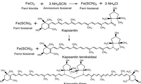 Gambar  2.  Reaksi  reduksi  ferri  tiosianat  oleh  kapsantin  (Kukoc-Modun  dan  Radi´c,  2011) 