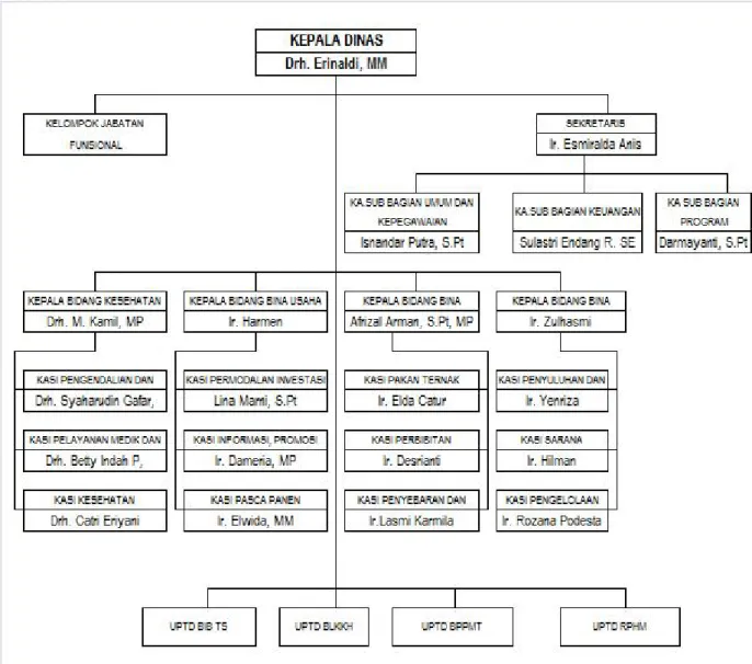 Gambar 2. Struktur Organisasi Dinas Peternakan dan Kesehatan Hewan Provinsi Sumatera Barat