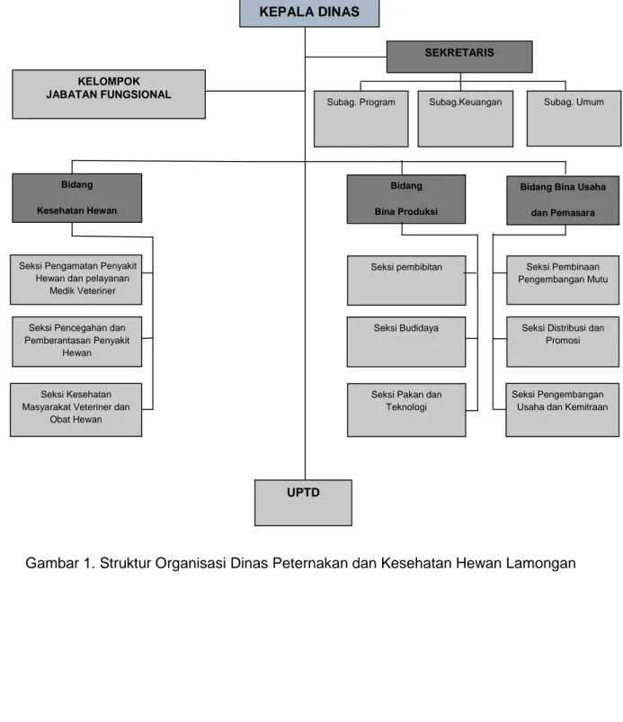 Gambar 1. Struktur Organisasi Dinas Peternakan dan Kesehatan Hewan Lamongan