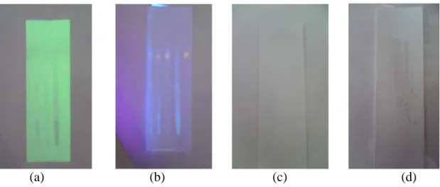 Gambar 4. Contoh Kromatogram Sampel yang Positif Menunjukkan Rhodamin           Ket: (a) D4, D3, D2, D1, rhodamin pada UV 254 nm