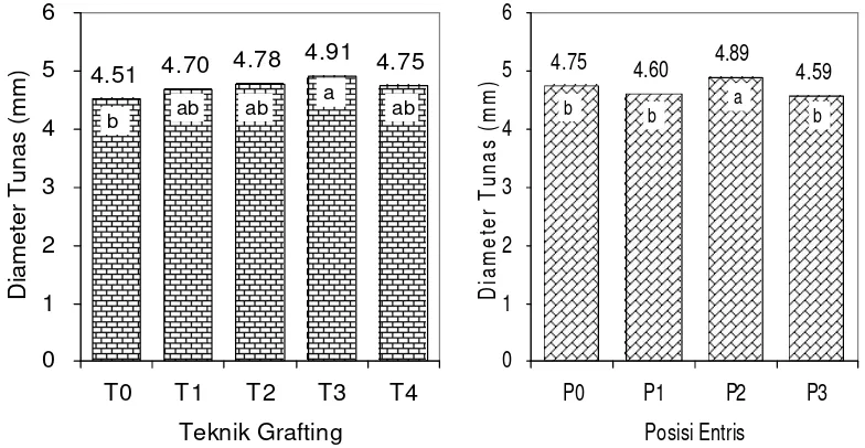 Gambar 10  Pengaruh teknik grafting (kiri) dan posisi entris (kanan) terhadap diameter tunas pada 28 MSS