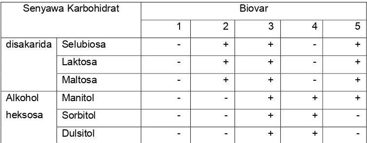 Tabel 1. Ciri-ciri Biovar R. Solanacearum yang dikelompokan berdasarkan kemampuannya menggunakan senyawa karbohidrat (Hayward, 1964 dan 1986; He et al., 1983 ; Martin dan French, 1996)