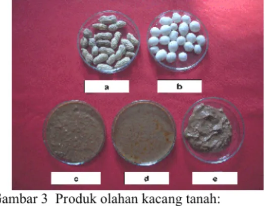 Gambar 3  Produk olahan kacang tanah: 