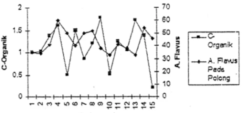 Gambar 9.   Grafik hubungan antara C organik tanag dengan A. flavus pada polong kacang tanah 