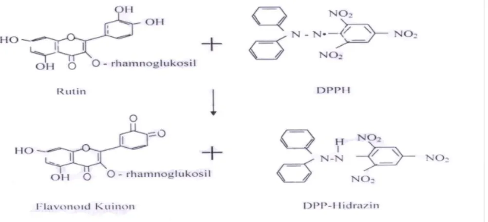 Gambar 3. Reaksi kimia rutin dengan DPPH sebagai radikal bebas (Windono dkk.,  2004). 