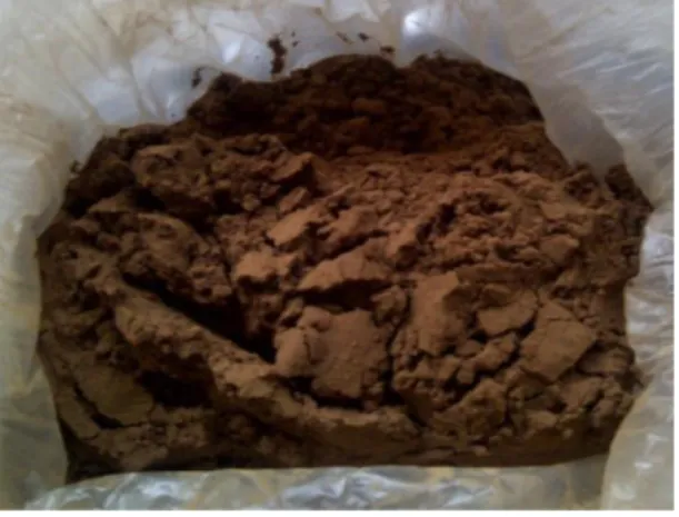 Gambar 1. Ekstrak biji Kakao  2. Pembuatan  Sediaan  Krim  Ekstrak 