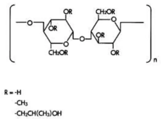 Gambar 2. Struktur HPMC (Rowe et al., 2005) 