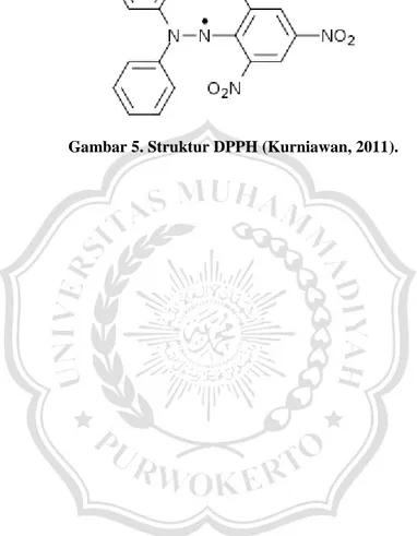 Gambar 5. Struktur DPPH (Kurniawan, 2011). 