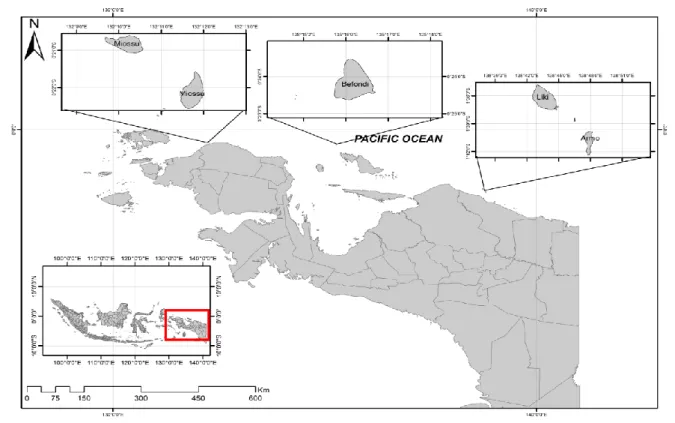 Figure 1.  Map showing the three small outer islands of Papua where the coral reef fishes  were obtained