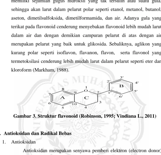 Gambar 3. Struktur flavonoid (Robinson, 1995; Vindiana L., 2011)
