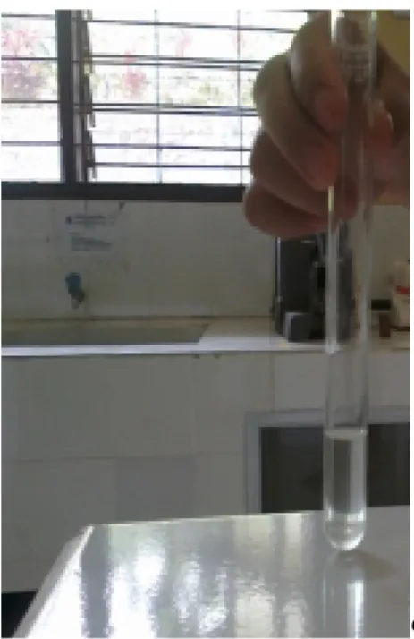 Gambar 15.Kelarutan Dalam Etanol            Gambar 16. Kelarutan Dalam Etanol         95% 1:0,5 ml                      95% 1:4 ml 