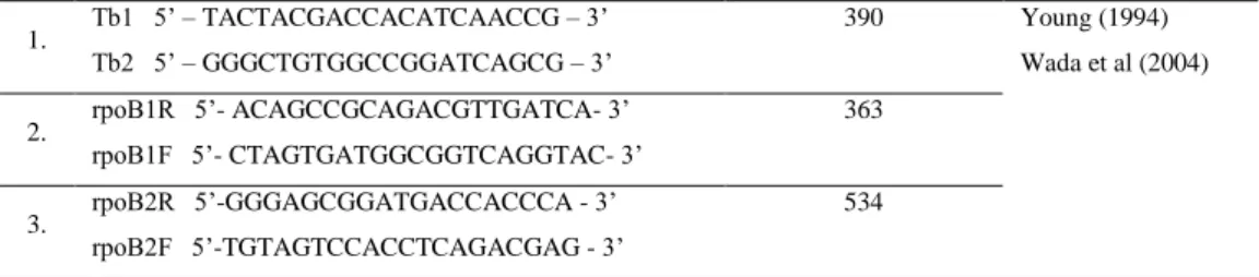Gambar 1.  Hasil PCR diagnostik   Mycobacterium tuberculosis  