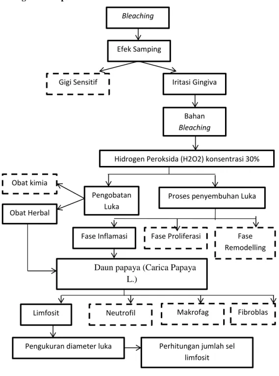 Gambar 4. Kerangka konsep Bleaching