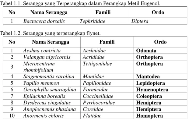 Tabel 1.1. Serangga yang Terperangkap dalam Perangkap Metil Eugenol. 