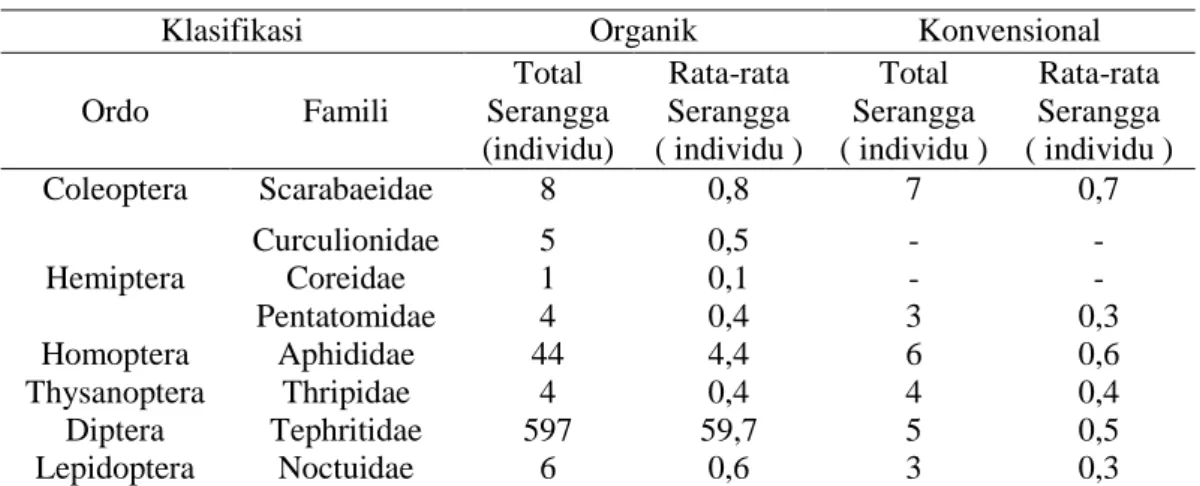 Tabel 1.  Dominasi  serangga  yang  terperangkap  pada  perangkap  lekat  kuning  (yellow sticky trap), zat penarik serangga (Petrogenol) dan net serangga  pada pertanaman cabai Organik dan Konvensional