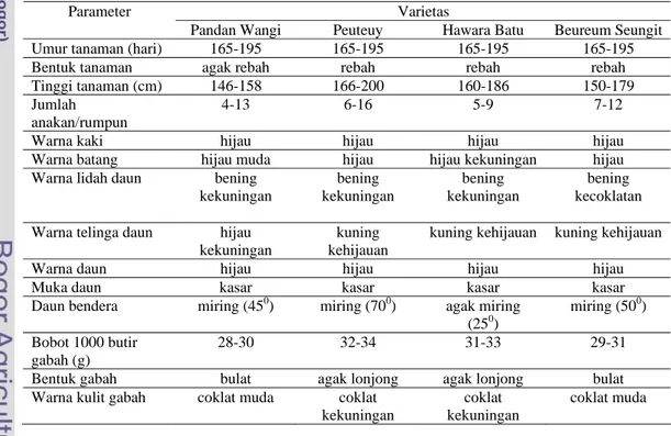 Tabel 7 Ciri-ciri morfologi padi empat varietas lokal Cianjur  Varietas Parameter 