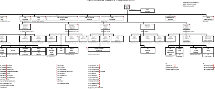 Gambar 1.1.   Struktur organisasi RSUPN-CM 