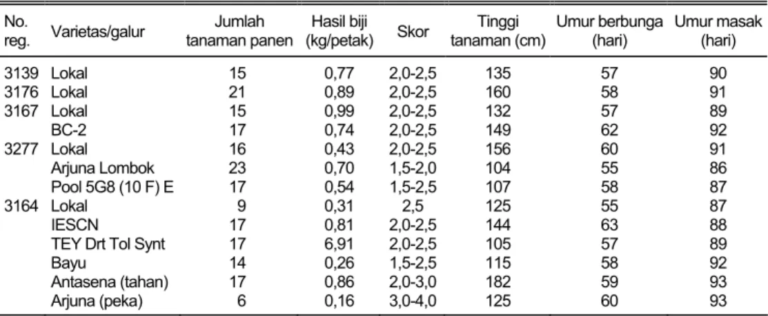 Tabel 9.  Plasma nutfah jagung yang toleran terhadap keracunan aluminium. Tamanbogo, MH 2000  No