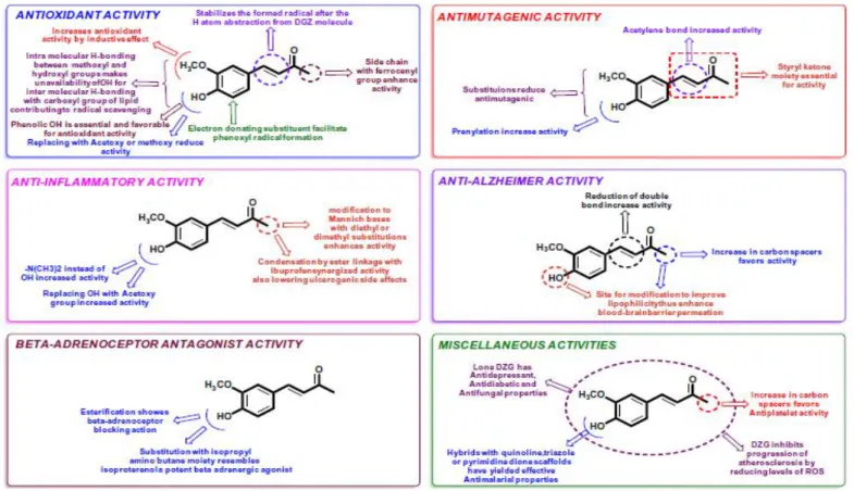 Gambar 9. Hubungan Struktur Aktivitas Dehydrozingerone (Hampannavar, et al., 2016)