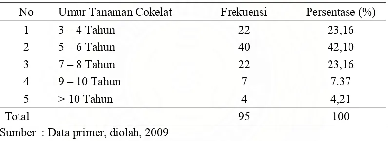 Tabel 4.3. Distribusi Responden Berdasarkan Umur Tanaman Cokelat yang diusahakan petani di  Kabupaten Dairi  