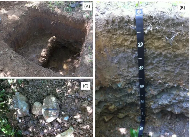 Gambar  14.  Profil  tanah  di  BPP  unit  Jantho  memperlihatkan:  (A)  lubang  profil,  (B)  penampang sisi lubang profil (meteran dalam skala cm) dan (C) bongkahan  batu dan kerikil pada kedalaman 54 cm ke bawah