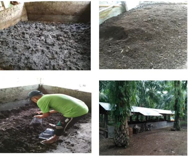 Gambar 2. Proses Pembuatan Pupuk Organik oleh Kelompok Ternak di Kabupaten Pasaman Barat.