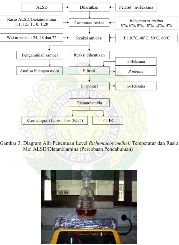 Gambar 3. Diagram Alir Penentuan Level Rizhomucor meihei, Temperatur dan Rasio  Mol ALSD/Dietanolamina (Percobaan Pendahuluan) 