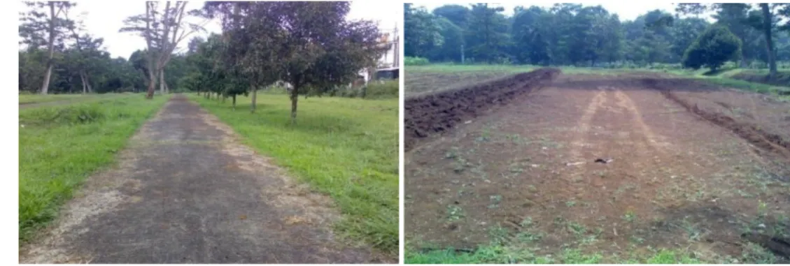 Gambar 2. Lintasan beton (kiri) dan tanah (kanan)
