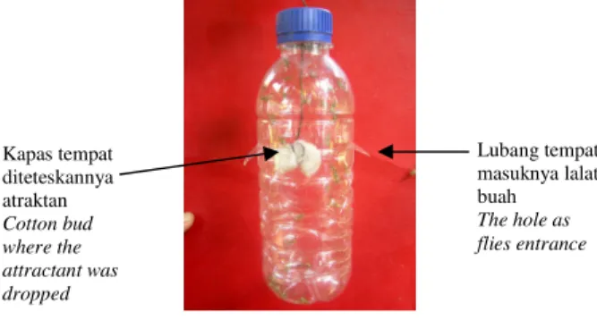 Gambar 2.  Perangkap lalat buah  Figure 2.  Fruit flies trap 