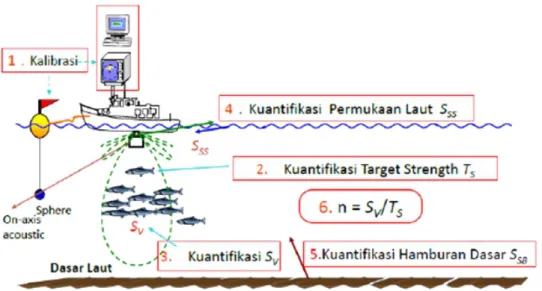 Gambar 2. Prinsip dasar teknologi akustik bawah air untuk menghitung stok ikanpantul  (Target  Strength),  Volume  Backscattering 