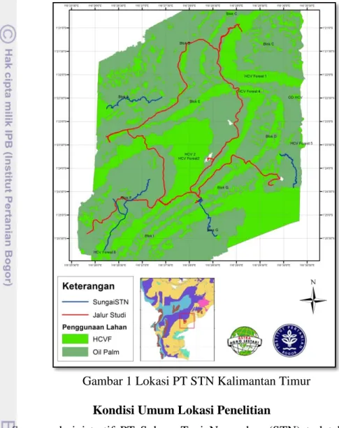 Gambar 1 Lokasi PT STN Kalimantan Timur  Kondisi Umum Lokasi Penelitian  
