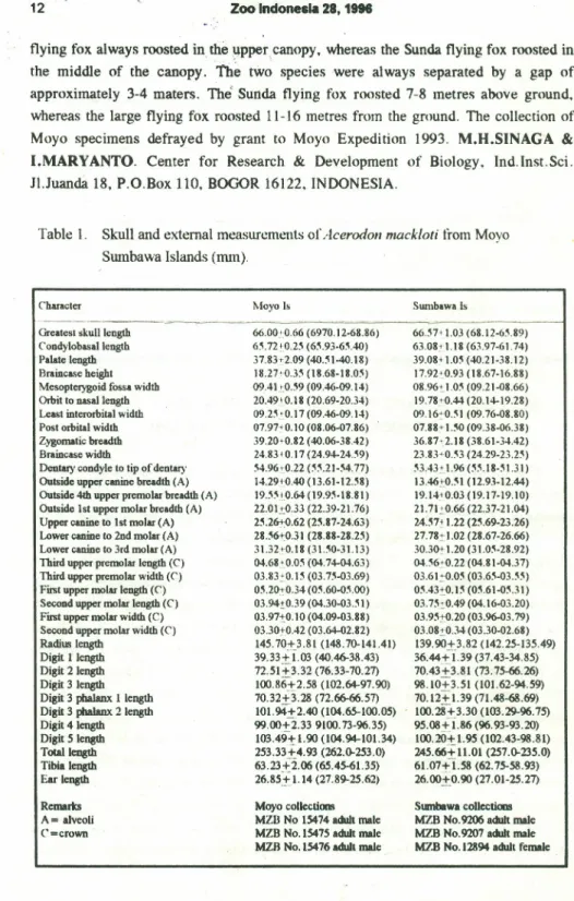 Table I. Skull and external measurements of Ace rod 011 mackloti from Moyo Sumbawa Islands (nun).