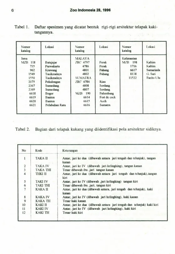 Tabel I. Daftar spesimen yang dicatat bentuk rigi-rigi arsitektur telapak kaki- kaki-tangannya.