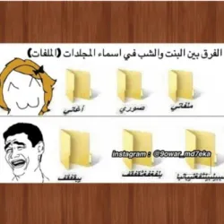 Gambar 1. Contoh Meme Berbahasa Arab 
