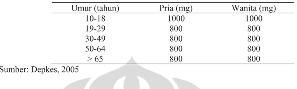 Tabel 2.4. AKG Kalsium di Indonesia 