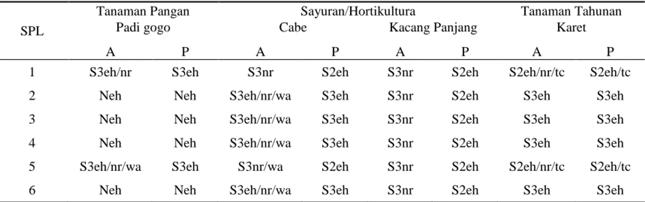 Tabel Lampiran 3.  Nilai  Gross  Margin  dan  rasio  BC  Komoditas  Tanaman  Pangan  dan  Sayuran/Hortikultura  yang Diusahakan di Rantau Pandan SP-1 