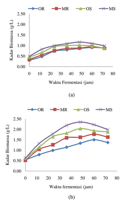 Gambar 3  Pola pertumbuhan biomassa selama fermentasi (a) percobaan pertama  (b) percobaan kedua 