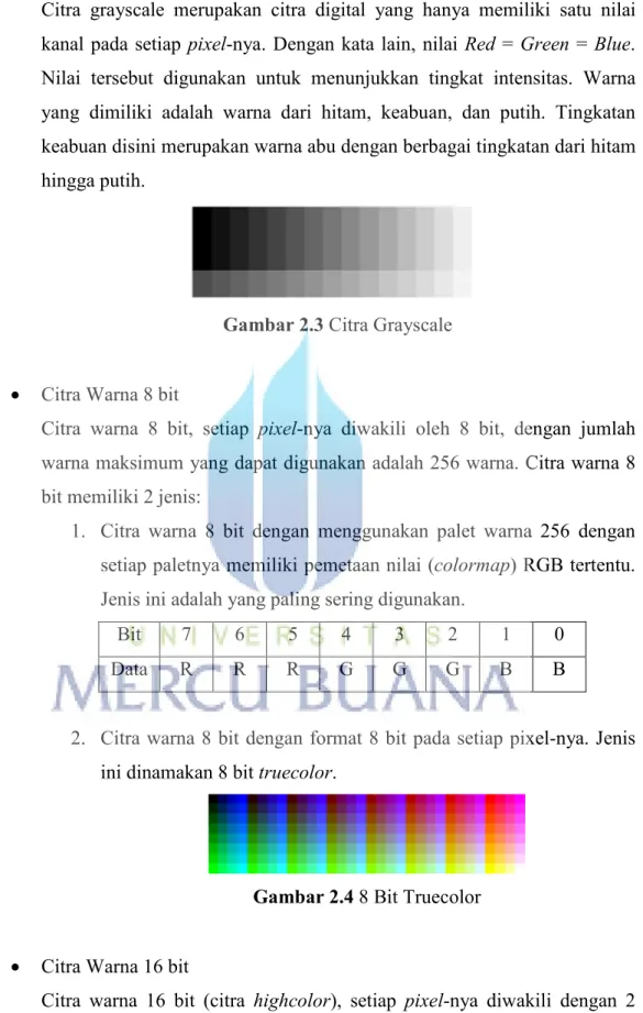 Gambar 2.3 Citra Grayscale 