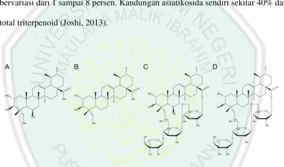 Gambar 2.4 Struktur utama komponen aktif  yang teridentifikasi pada C. asiatica  yang  mampunyai  manfaat  obat:  (A)  asam  madekasik,  (B)  asam  asiatik, (C) madekassoida dan (D) assiatikosida (Joshi, 2013)